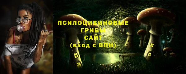 ALPHA-PVP Алексин