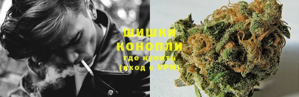шишки Алексеевка