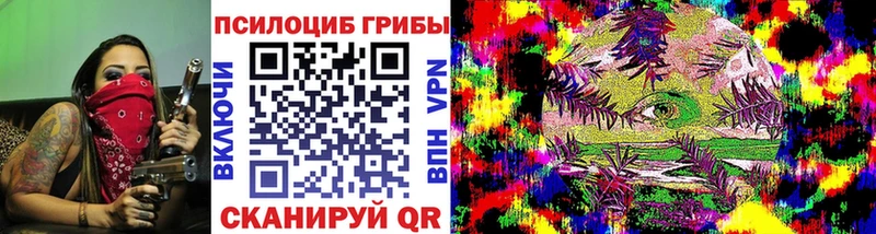 Псилоцибиновые грибы мицелий  Венёв 